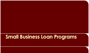 Small Business Loan Program