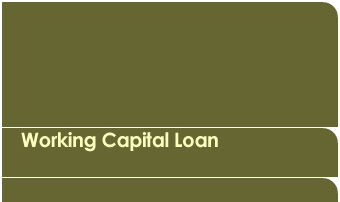Small Business Working Capital Loan